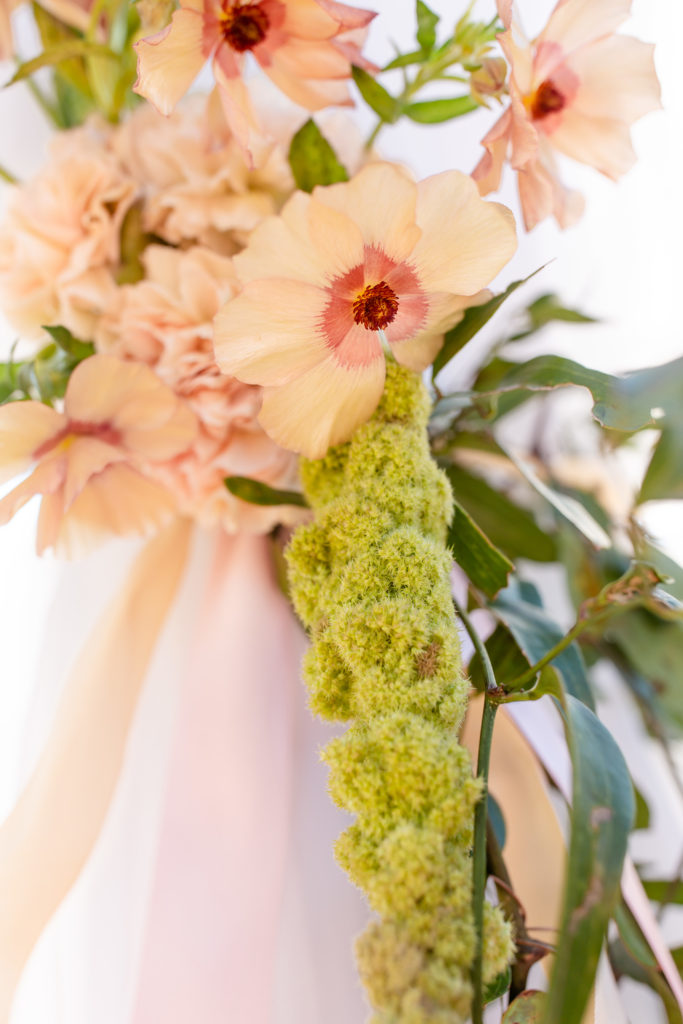 Florida Elopement Photographer