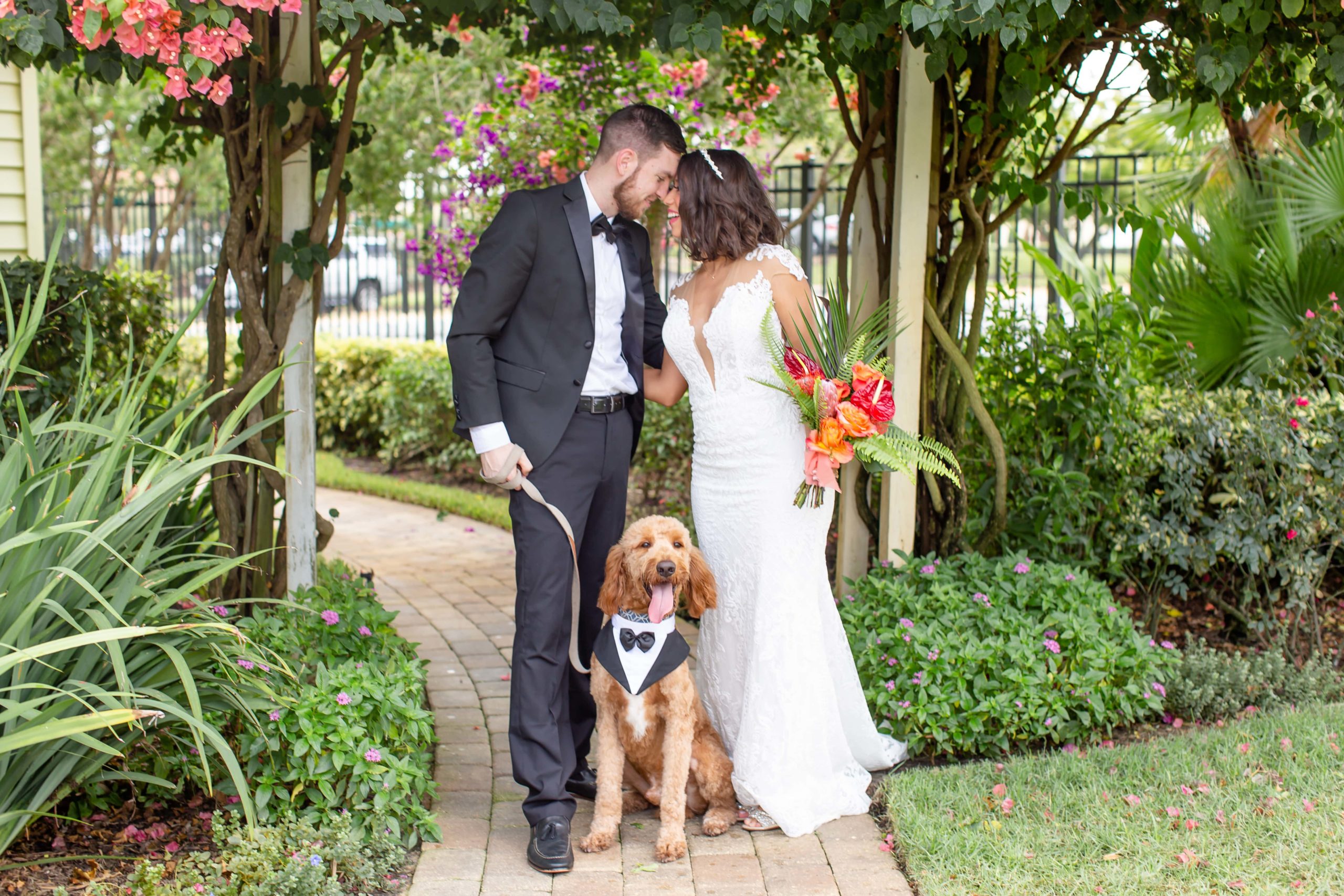 Tips for a micro wedding timeline, including pup lovers!