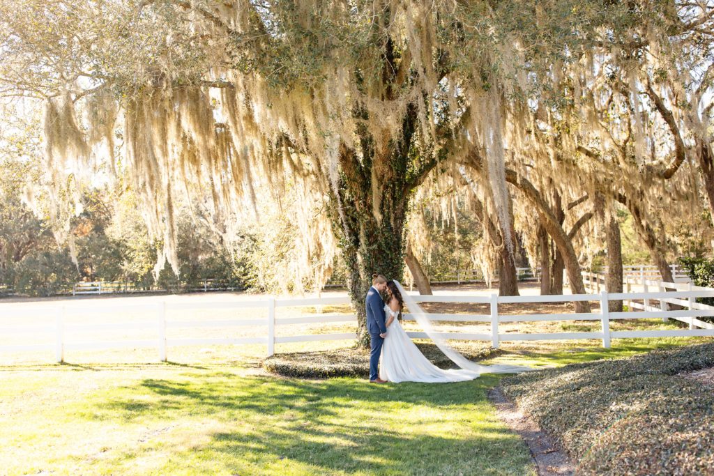 Bramble Tree Estate Wedding Photo — Bride and Groom under Spanish Moss