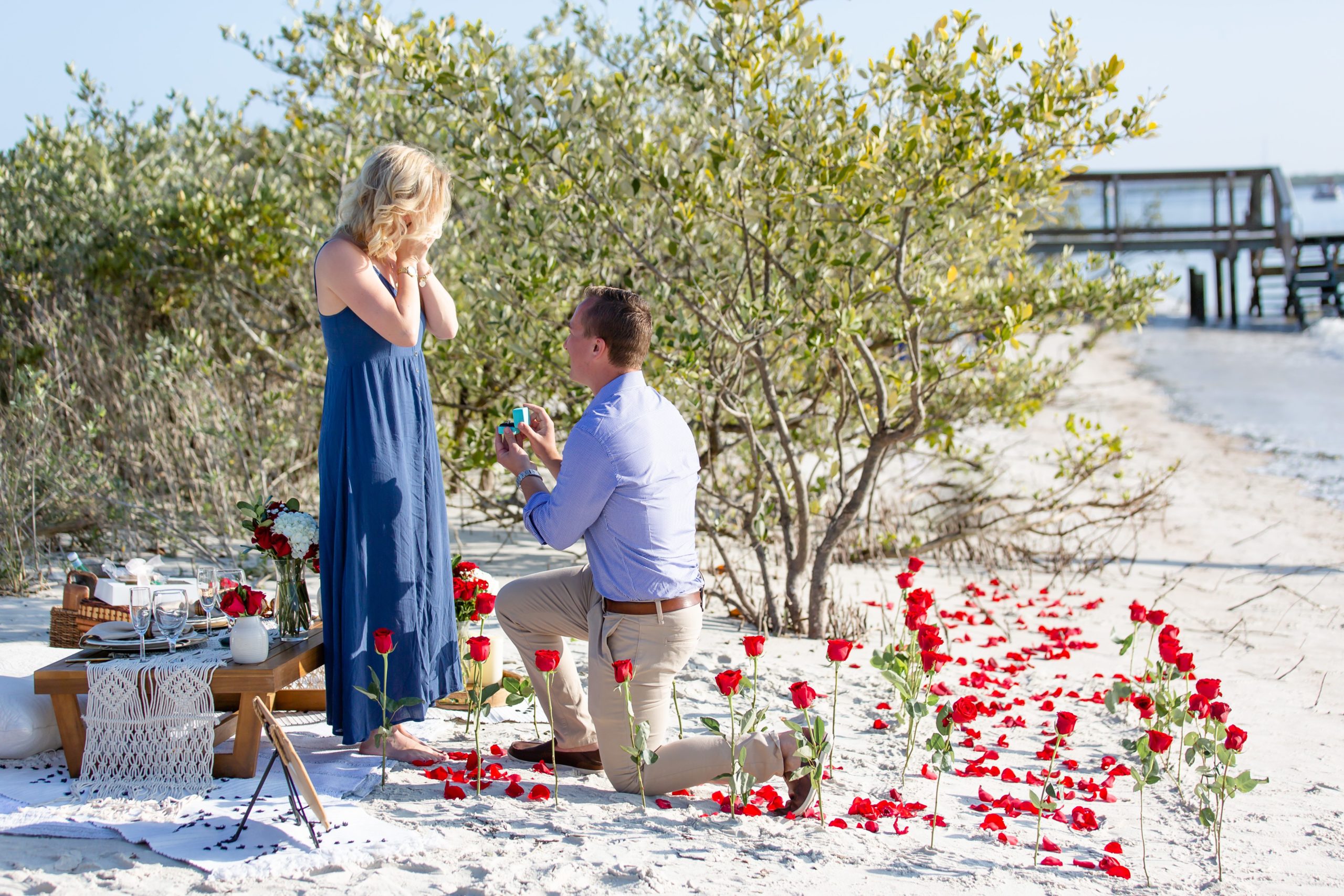 Florida Beach Proposal Photos - New Smyrna Dunes Park Proposal — Surprise Beach proposal with pop up picnic and rose petals on the beach