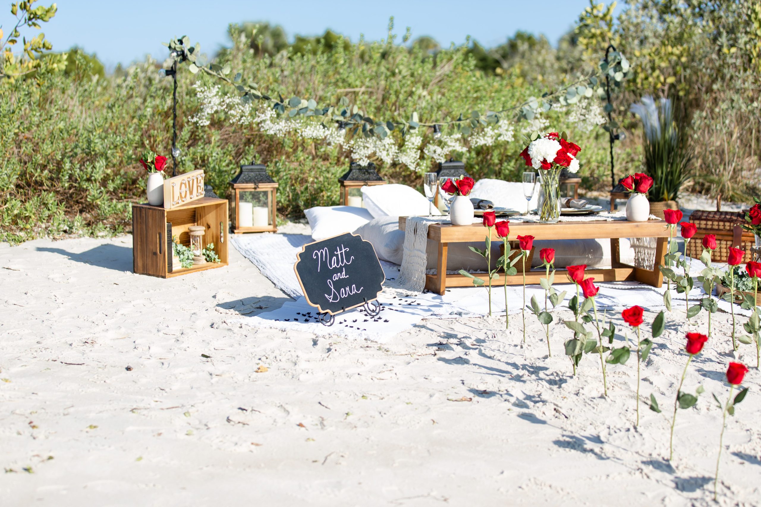 New Smyrna Beach proposal with a picnic and roses