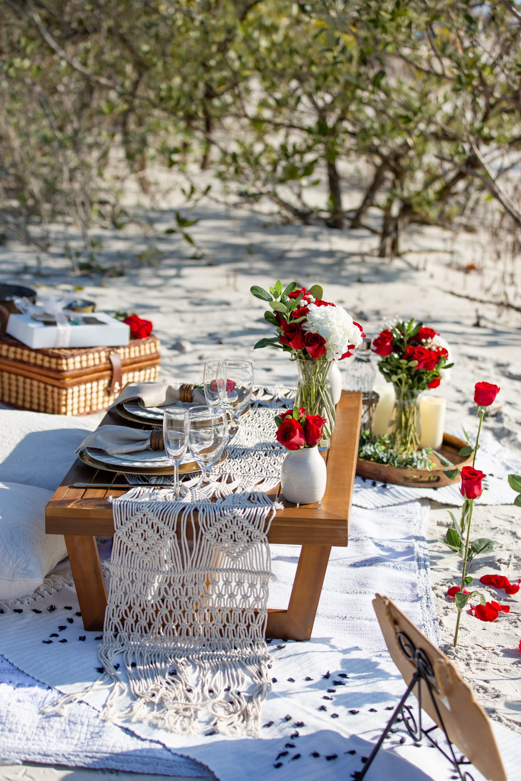 A picnic on the beach with roses, pillows and blankets