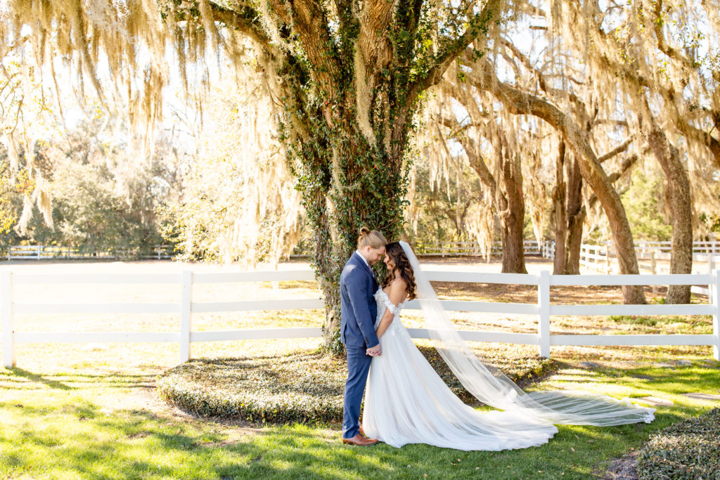 Bride & Groom forehead to forehead holding hands standing under a large live oak tree with Spanish moss with beautiful sunset at Bramble Tree Estate in Orlando, FL