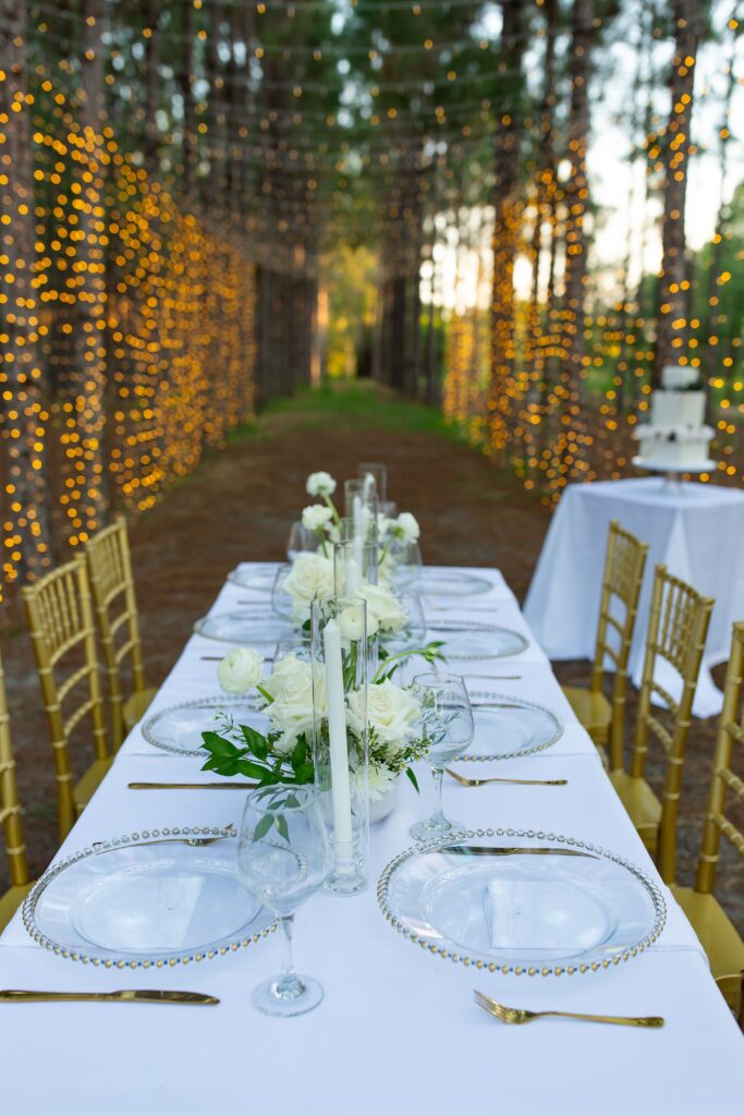 White and Green reception table with gold chairs and magical twinkle lights at Forest Wedding Venue in Florida