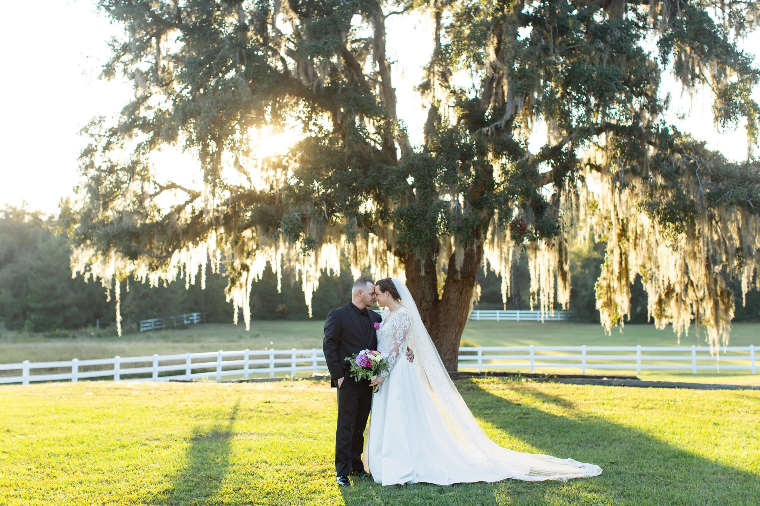 Bride and Groom stand under large tree at sunset in open field at Bramble Tree Estate in Orlando, Florida