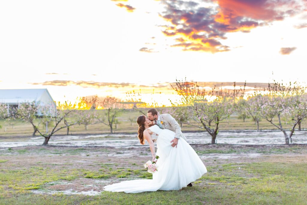 Groom dips Bride and kisses her in the peach orchard with beautiful sunset after their wedding at Acres of Grace Wedding Venue in Central Florida