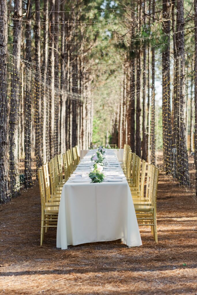 Forest Wedding reception setup with white long table, white tablecloth, gold chairs, and green centerpieces under pine trees with twinkle lights