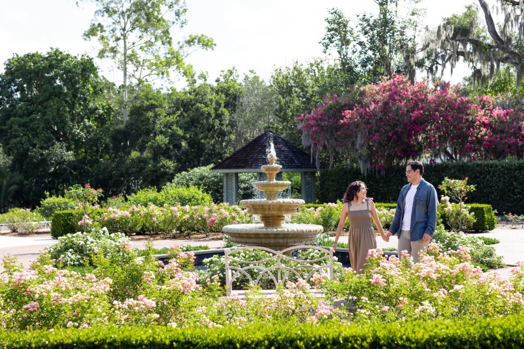 Couple walks holding hands in front of rose garden fountain for their engagement photos at Leu Gardens in Orlando, Florida