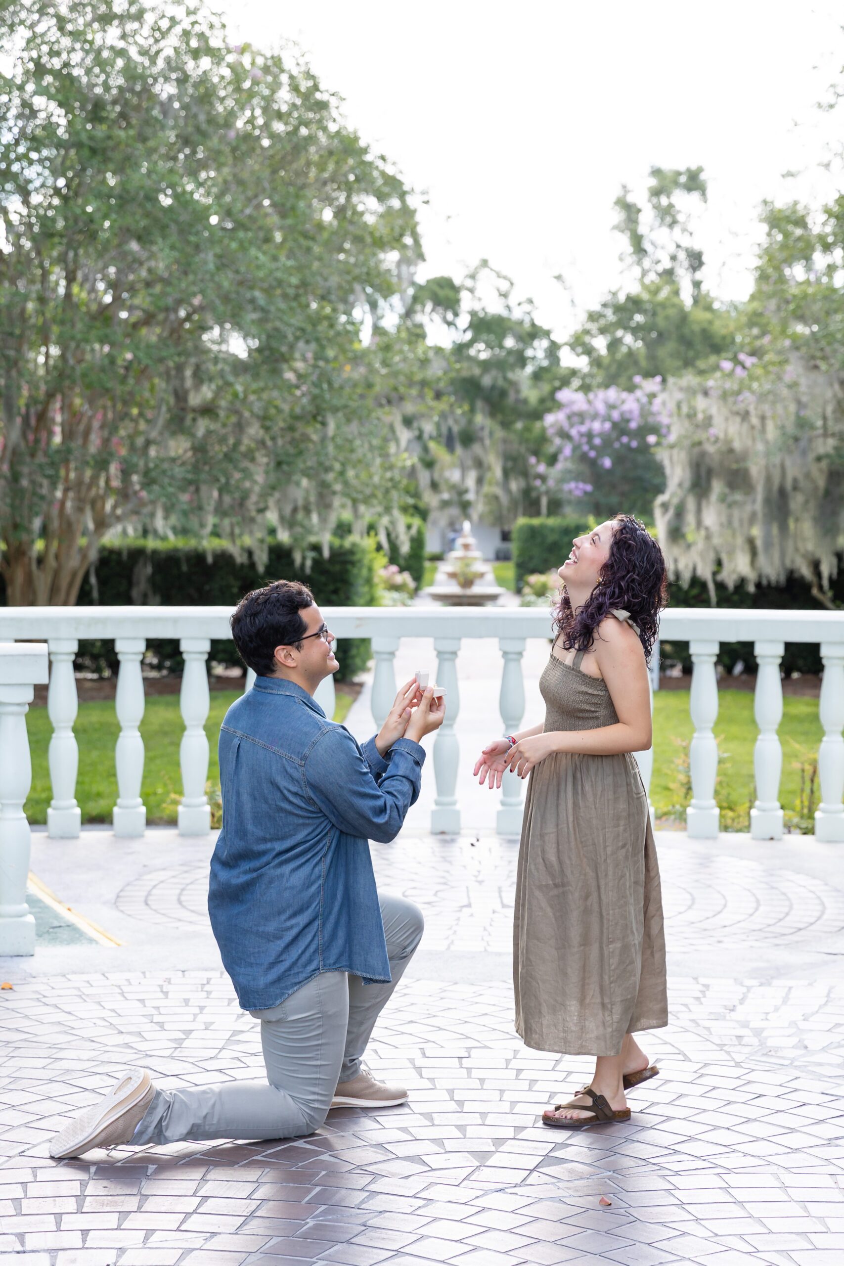Guy proposes to girl in front of rose garden for their proposal photos at Leu Gardens in Orlando, Florida