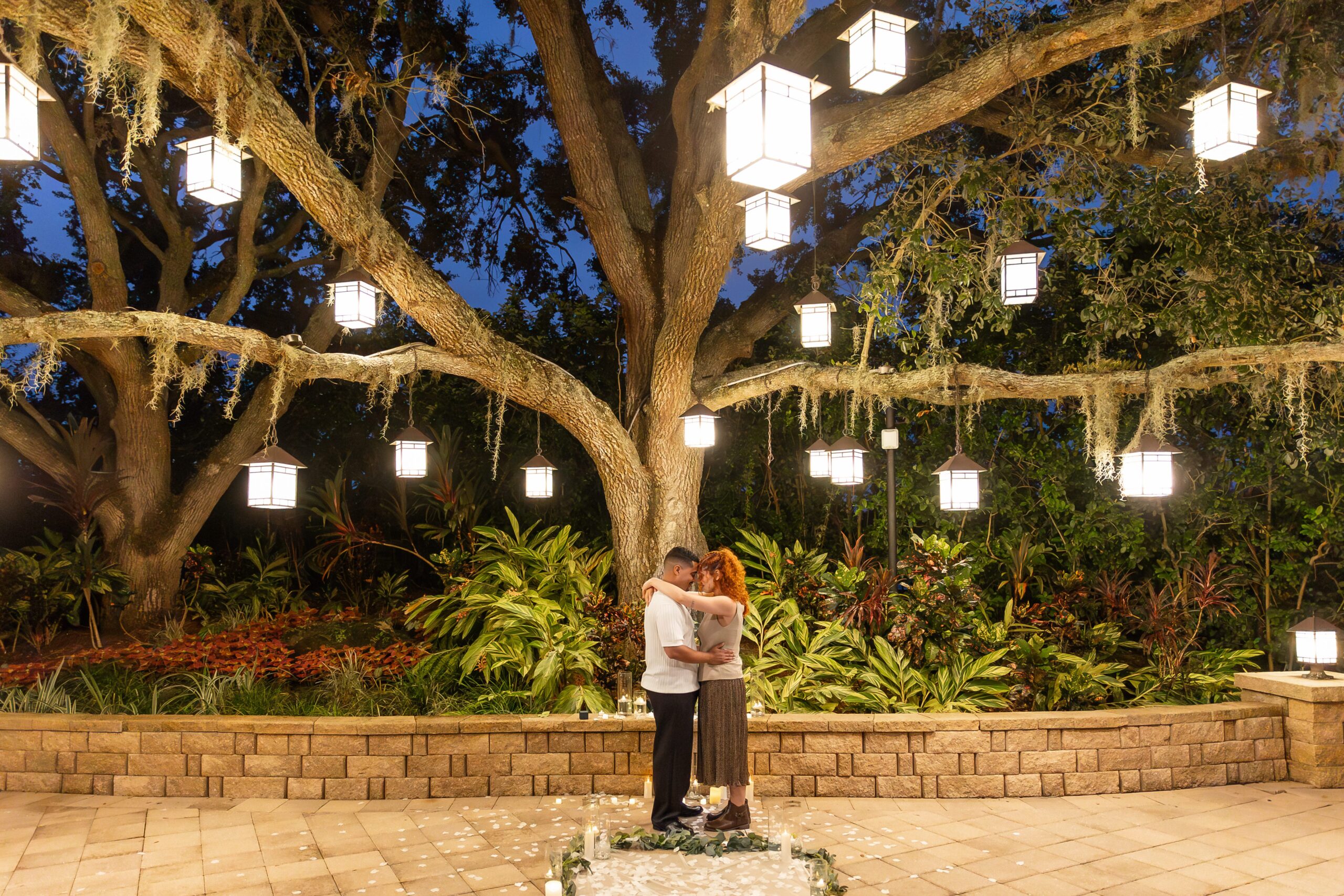 Couple snuggles together under tree with lanterns after their proposal at the Hyatt Regency Grand Cypress Resort Orlando Oak Terrace