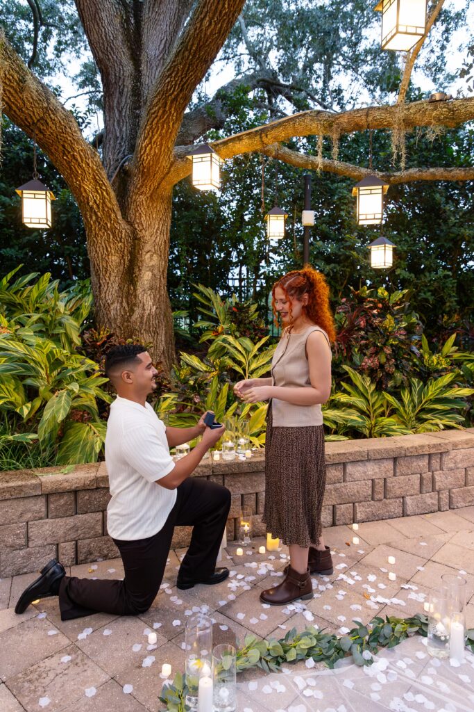 Guy gets down on one knee to propose under tree with lanterns at the Hyatt Regency Grand Cypress Resort Orlando Oak Terrace