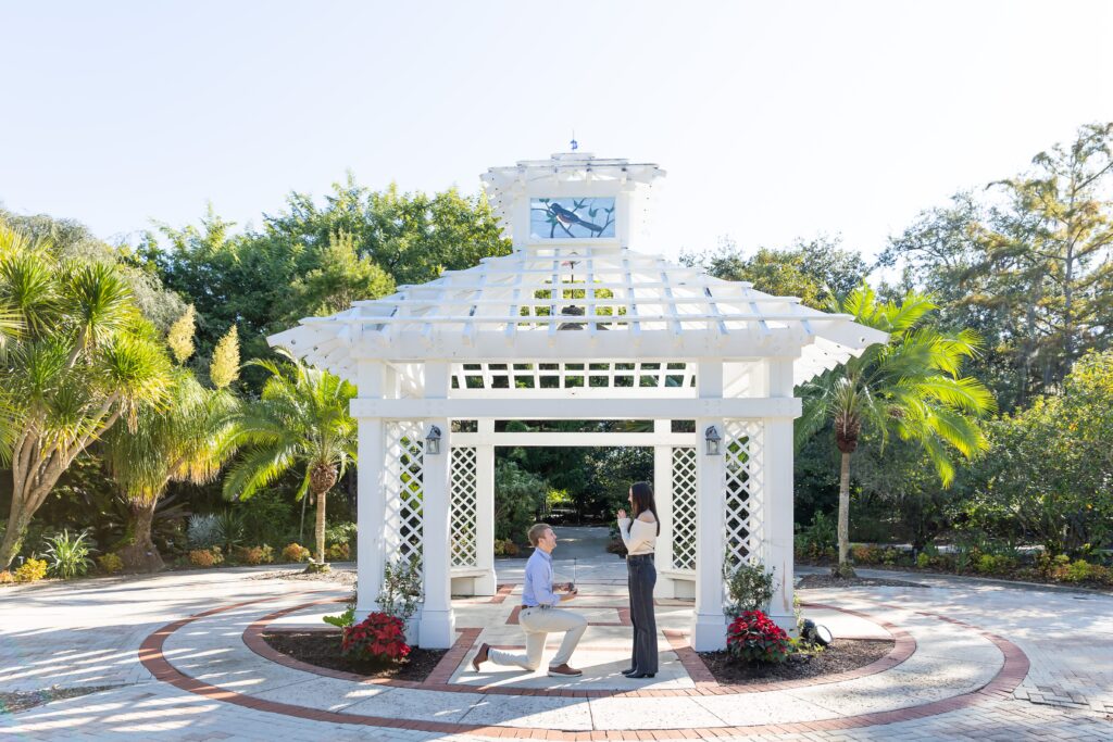 Guy gets down on one knee to for his proposal in Orlando at the idea garden at Leu Gardens
